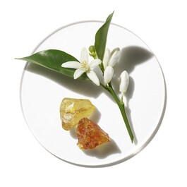 Aromatics in WhiteEau de Parfum
