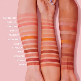 Dandelion WANDERful World- Blush em pó 