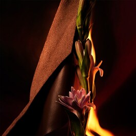 Bvlgari Man In BlackEau de Parfum
