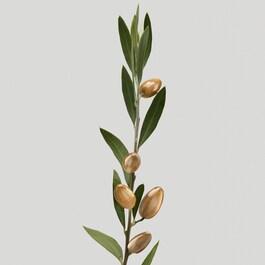Silk Bloom - Máscara Reparadora