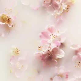 The Ritual of Sakura - Bálsamo de Mãos