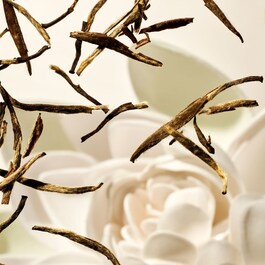 The Ritual of Karma - Coffret M Tratamento