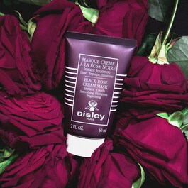 Masque Crème à la Rose Noire - Máscara de Rosas Negras