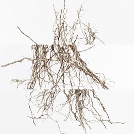 Terre d'Hermès Eau Intense Vétiver - Eau de parfum Recarga