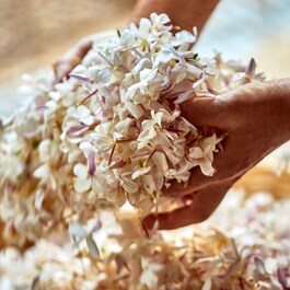 J'adore - Eau de parfum para mulher - Notas florais e frutadas