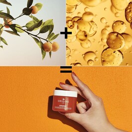 Ginzing™ - Gel-creme Hidratante 