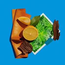 The product image is missing!