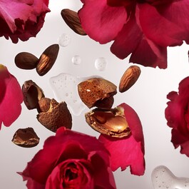The Ritual of Ayurveda - Coffret S Tratamento