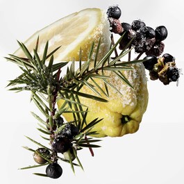 Terre d’Hermès Eau Givrée - Eau de Parfum