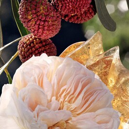 Chloé Signature - Eau de Parfum