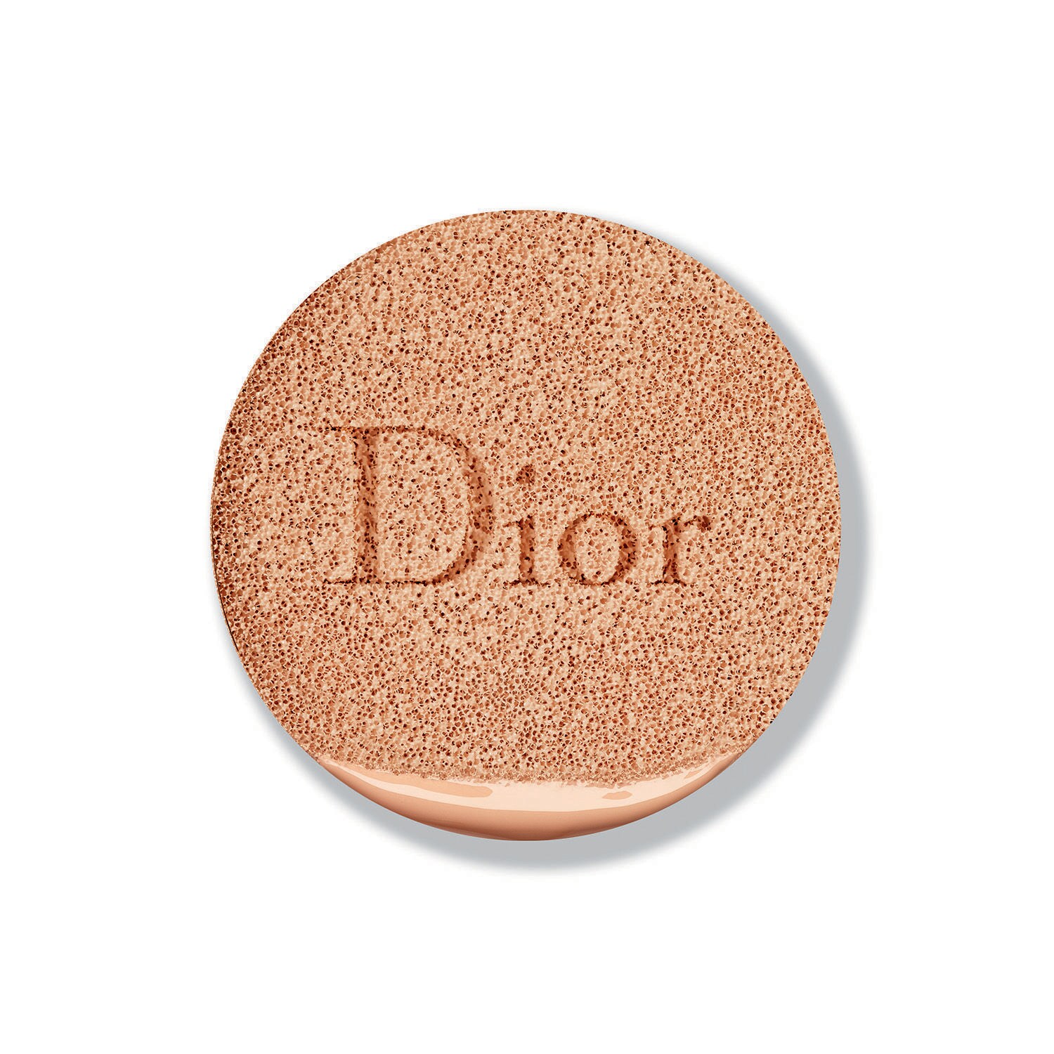 Capture dreamskin dreamskin moist & perfect cushion spf 50 online
