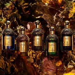 Absolus Allegoria - Cuir Intense - Eau de Parfum