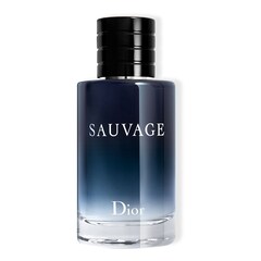 Sauvage - Eau toilette para homem - Notas condimentadas, amadeiradas, ambaradas, Dior