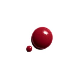 LE VERNIS- Verniz