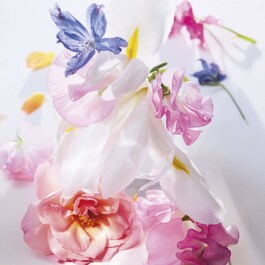 Miss Dior Eau de Parfum- Tamanho de Viagem