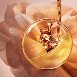 Absolue Creme Textura Leve - Creme de dia