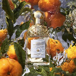 Coffret Aqua Allegoria Mandarine Basilic Eau de Toilette