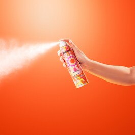 Perk Up - Champô Seco Sem Talco