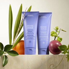 Blonde revival conditioner - Amaciador Cabelos Loiros