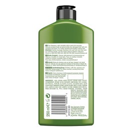 Champô Detox & Repair