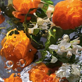 Aqua Allegoria Orange Soleia - Eau de Toilette