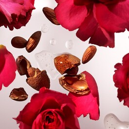 The Ritual of Ayurveda - Shampoo