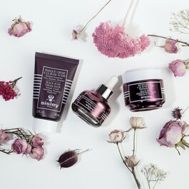 Masque Crème à la Rose Noire - Máscara de Rosas Negras
