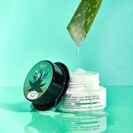 The True Cream Aqua Bomb Aloe Vera - Gel-Crème Hidratante