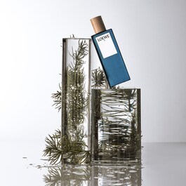 Loewe 7 - Eau De Toilette
