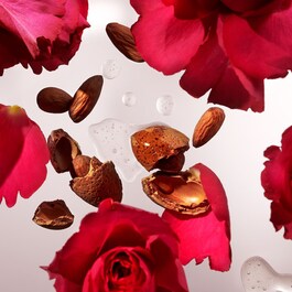 The Ritual of Ayurveda - Mini Coffret Corpo e Banho