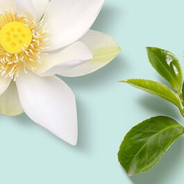 The Ritual of Karma - Esfoliante Para o Corpo