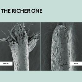 The Richer One - Condicionador reparador hidratante intensivo