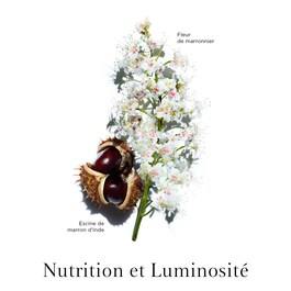 Nutri-Lumière Jour - Emulsão de luminosidade revitalizante