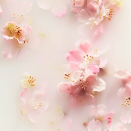 The Ritual of Sakura -  Recarga Perfume Sticks