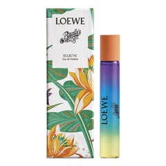 Paula's Ibiza Eclectic, Loewe