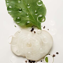 Tratamento flash Botanical Repair™ - tecnologia de criação de ligações capilares