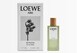 OFERTA LOEWE