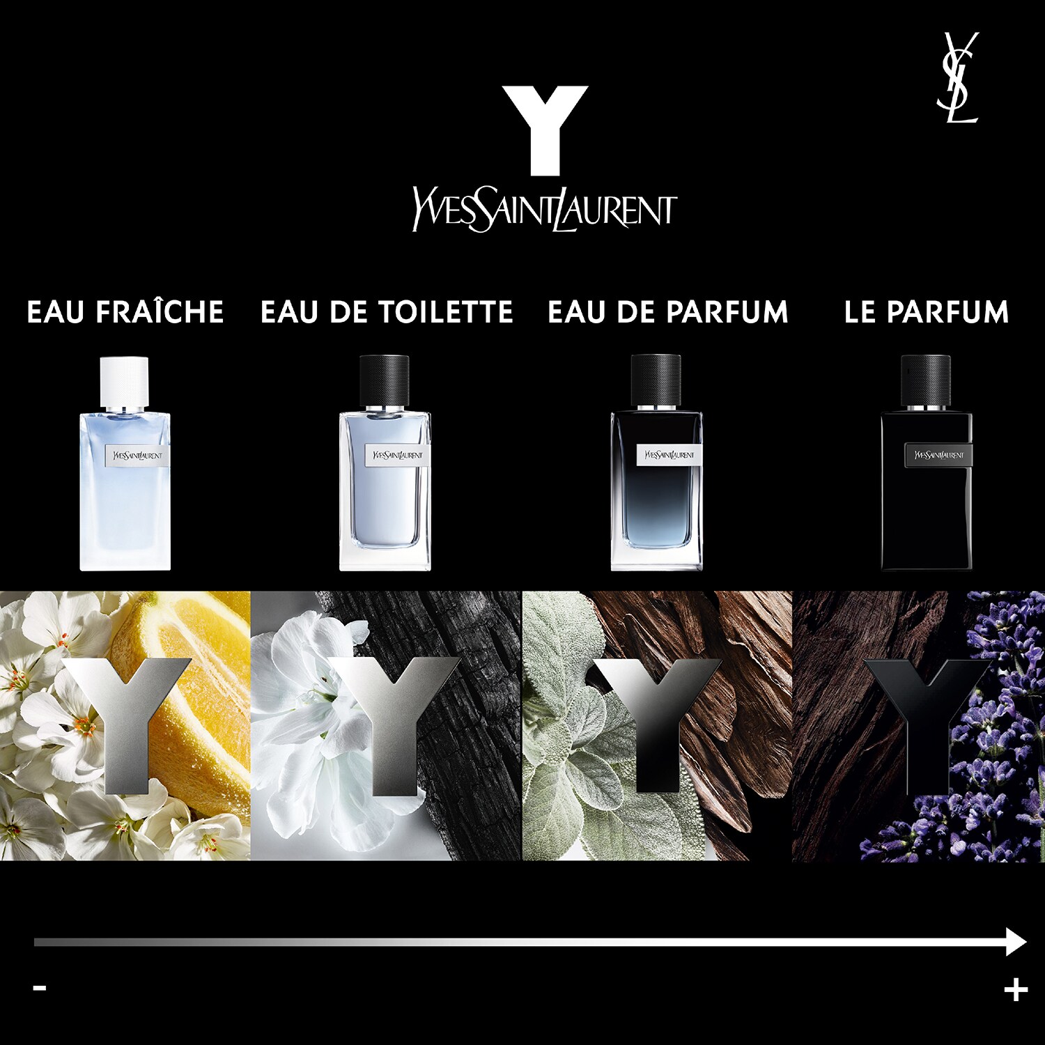 Y Eau Fraiche EDT YVES SAINT LAURENT ≡ SEPHORA