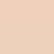 PARURE SKIN FOUNDATION MATTE 1N