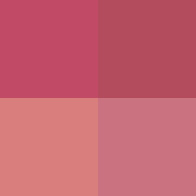 PRISME LIBRE BLUSH N05