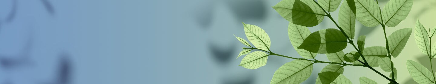 Tratamento de cabelo vegan