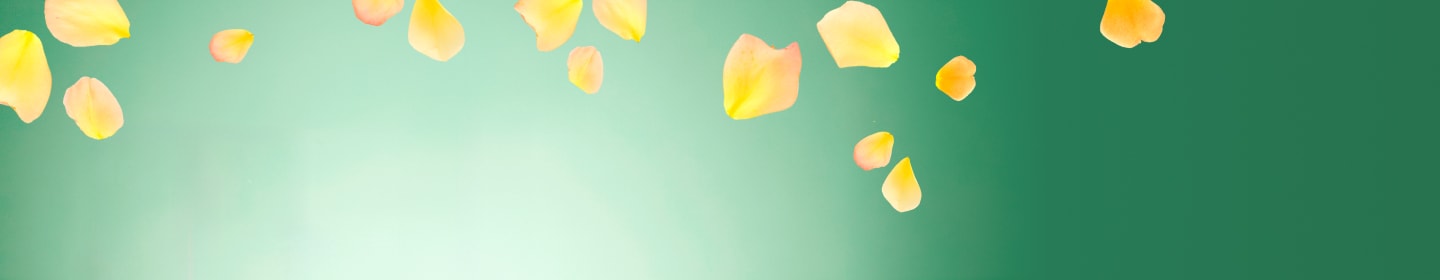 -20%* em makeup, tratamento e cabelo CÓD: SPRING